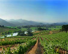 Napa Valley