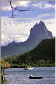 Scenary