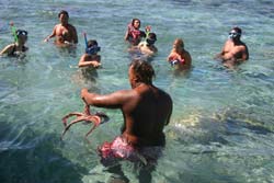 snorkelclass.jpg